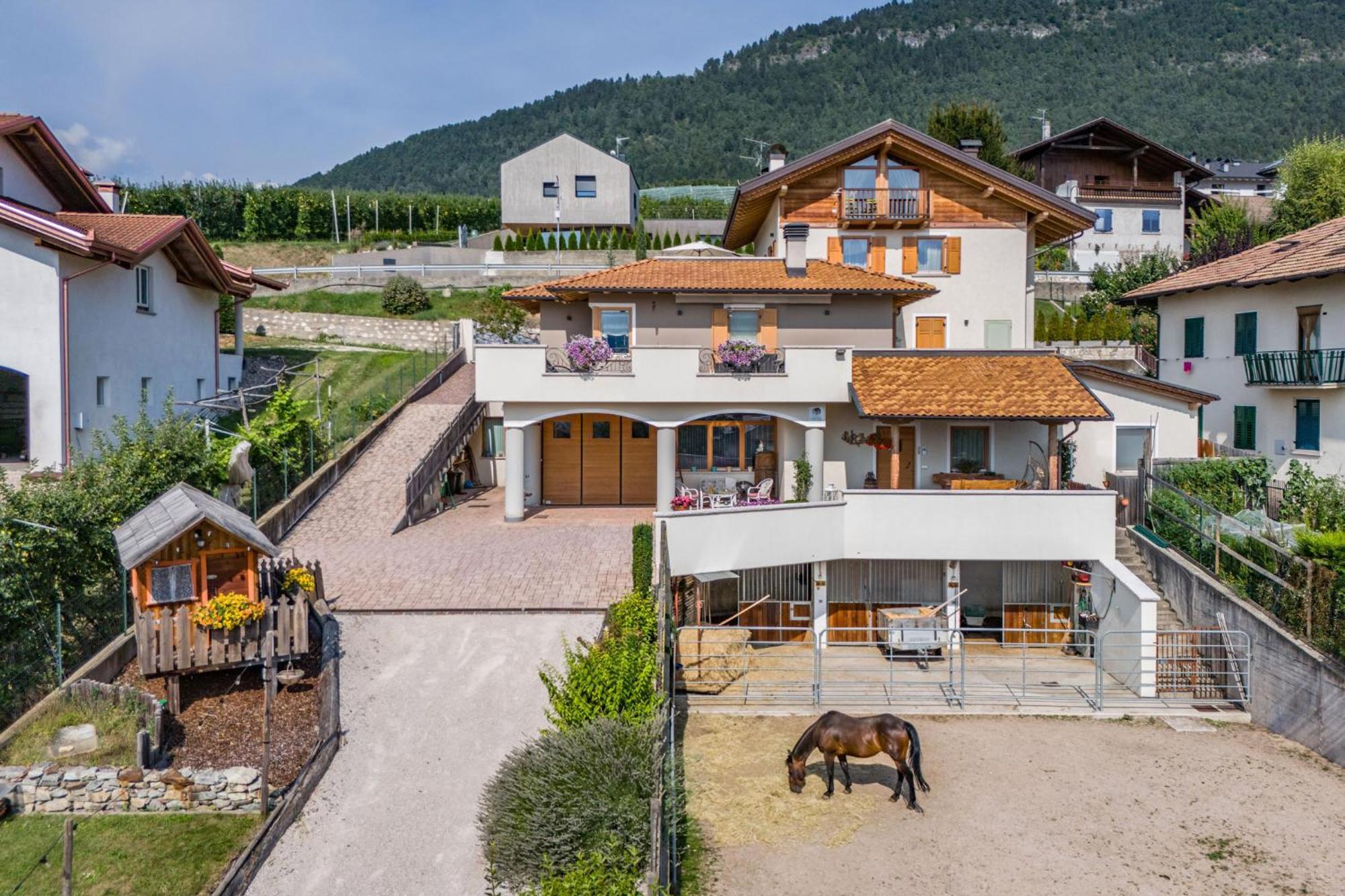 Horse House Bed & Breakfast Romallo Exterior photo